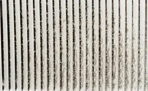 Managing Indoor Air Quality