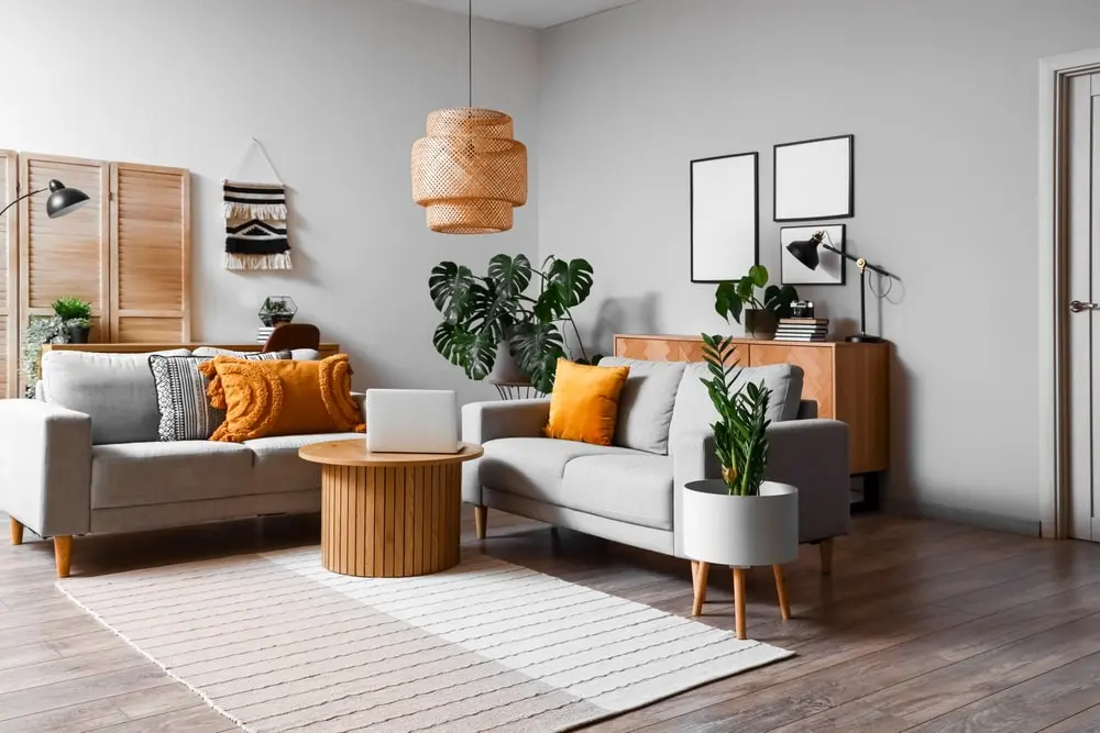 Humidifier - Give Your Houseplants a Boost