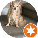 Michaela D profile picture