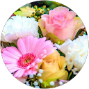 Expert HVAC Services in Salt Lake City, UT - Western Heating, Air & Plumbing Janice profile picture